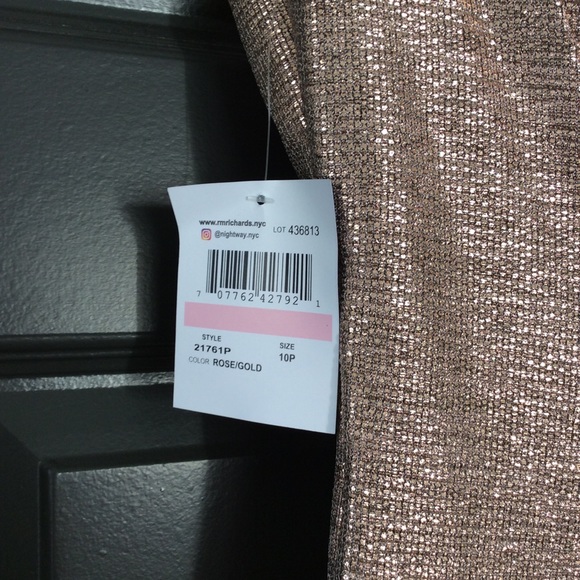 NWT R&M Richards Nightway Rose Gold Shimmer Gown - Picture 5 of 8